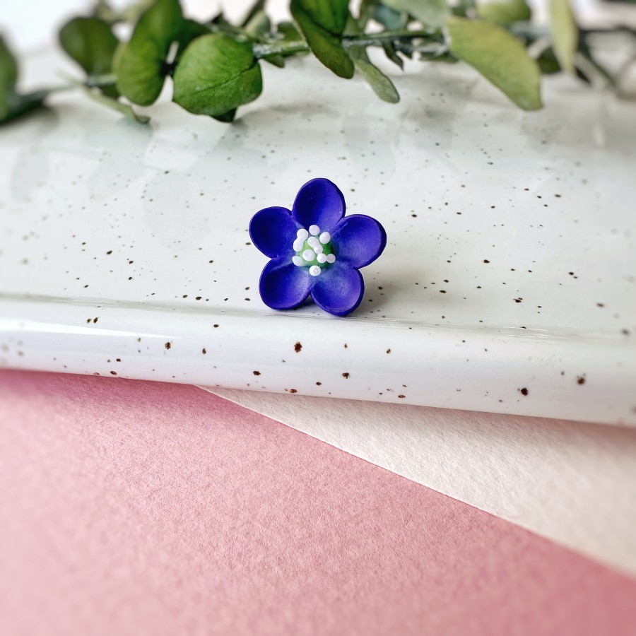 Segė Žibutė|SEG-22